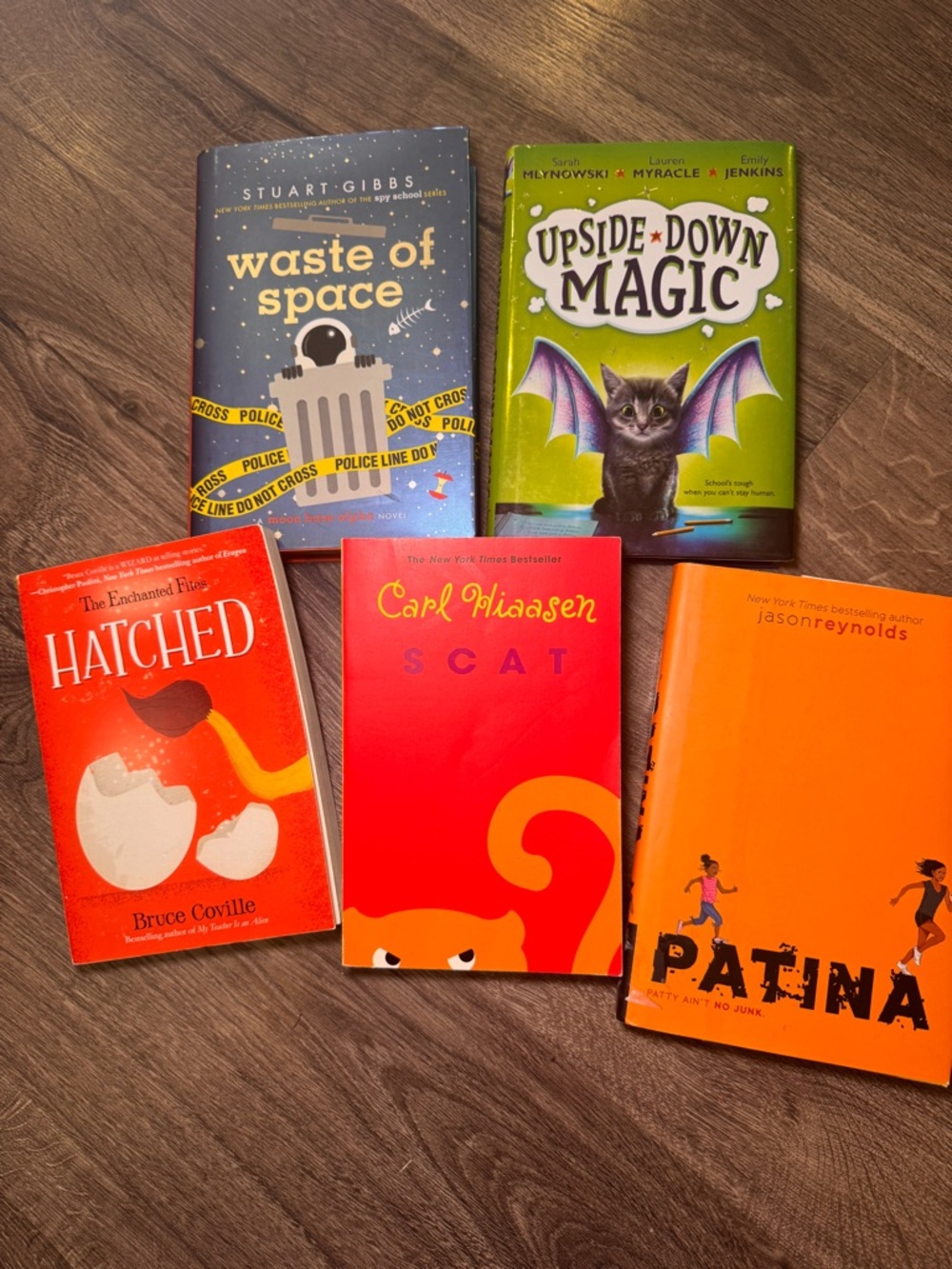 Chapter Book bundle